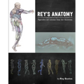 Rey's Anatomy: Figurative Art Lessons from the Classroom