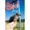 Jay Jay