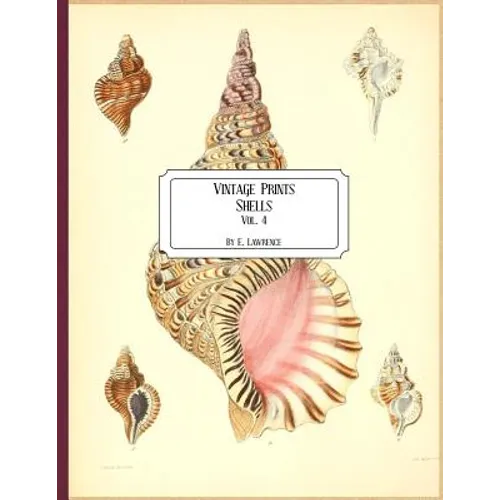 Vintage Prints: Shells: Vol. 4