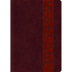 Study Bible-ESV-Large Print Trellis Design