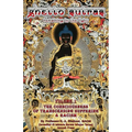Ghetto Sutras: Remaining in The Light - The Conciousness of Transcending Suffering and Racism (Vol. 1) (Standard Size)