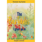 The Barbados I grew up in: A collection of memories
