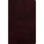 Large Print Personal Size Bible-ESV