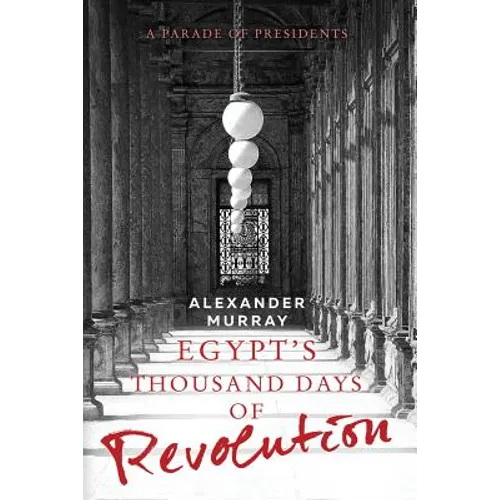 Egypt's Thousand Days of Revolution: A Parade of Presidents