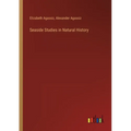 Seaside Studies in Natural History