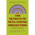 The Secrets of Meta-Cosmic Projection