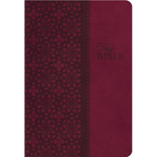 Study Bible-KJV - Imitation Leather