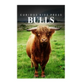 Bulls - Curious Kids Press