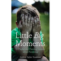 Little Big Moments: 51 Playful and Piercing Lessons about Parenting