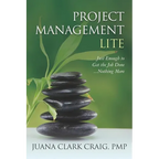 Project Management Lite: Just Enough to Get the Job Done...Nothing More - Paperback