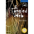 A Tangled Web Level 5