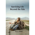 Surviving Life beyond the Pale: I was set up! A journey from innocence through abuse to strength.