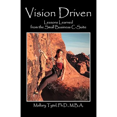 Vision Driven: Lessons Learned from the Small Business Isuite