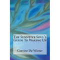 The Sensitive Soul's Guide To Waking Up