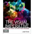 The Visual Imperative: Creating a Visual Culture of Data Discovery