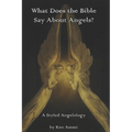 What Does the Bible Say About Angels?: A Styled Angelology