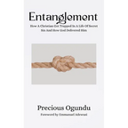 Entanglement: How A Christian Got Trapped In A Life Of Secret Sin And How God Delivered Him - Paperback