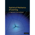 Statistical Mechanics of Learning