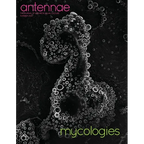 Antennae #58 Mycologies