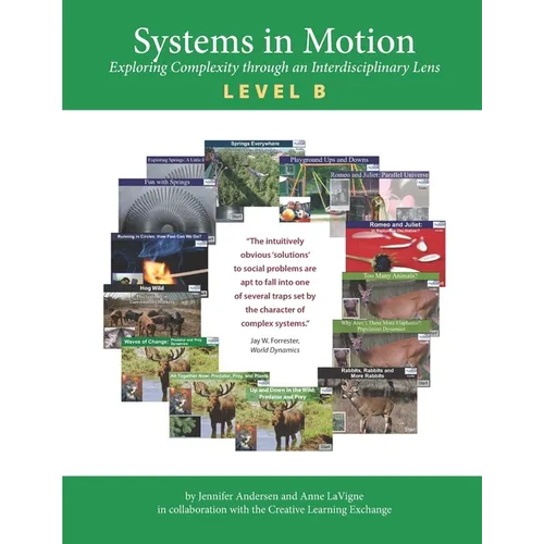 Systems in Motion Level B: Exploring Complexity through an Interdisciplinary Lens