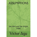 Assumptions: the dark and the bright sides