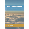 Angels on Assignment: True Stories of Encounters with Angels
