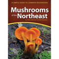 Mushrooms of the Northeast: A Simple Guide to Common Mushrooms
