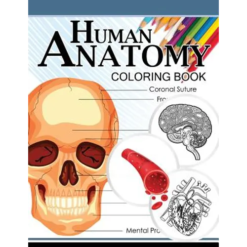 Human Anatomy Coloring Book: Anatomy & Physiology Coloring Book 3rd Edtion