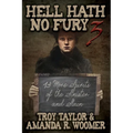 Hell Hath No Fury 3