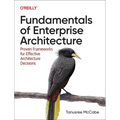 Fundamentals of Enterprise Architecture: Proven Frameworks for Effective Architecture Decisions