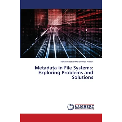Metadata in File Systems: Exploring Problems and Solutions