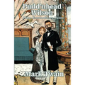 Pudd'nhead Wilson: A Novel of Identity and Justice in the American South