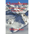 Chameleons: Neutral Switzerland during WWII