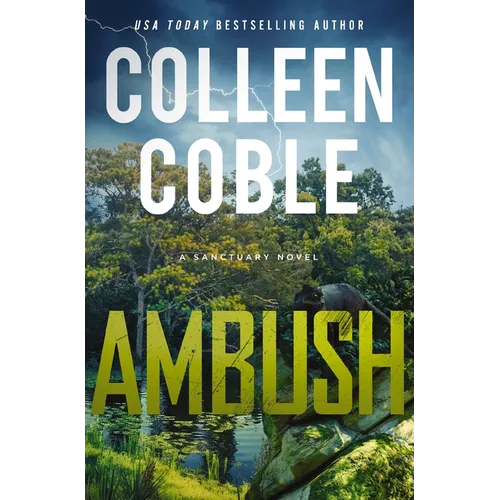 Ambush: A Small-Town Romantic Suspense