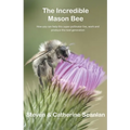 Incredible Mason Bee