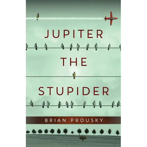 Jupiter the Stupider