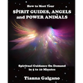 How To Meet Your SPIRIT GUIDES, ANGELS and POWER ANIMALS: Spiritual Guidance On Demand in 5 to 10 Minutes, a Practical Guide