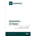 Symmetry in Vision