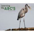 Learning My ABC's