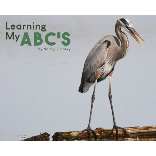 Learning My ABC's