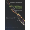 Awareness and Wisdom in Addiction Therapy: The In-Depth Systemics Treatment of Mental-somatic Models
