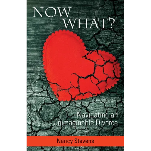 Now What?: Navigating an Unimaginable Divorce