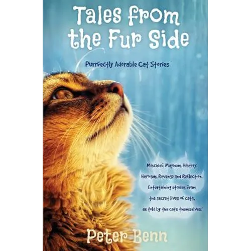 Tales from the Fur Side: Purrfectly Adorable Cat Stories