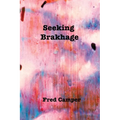 Seeking Brakhage