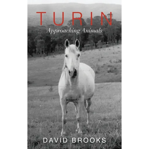 Turin: Approaching Animals