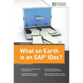 What on Earth is an SAP IDoc?