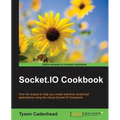 Socket.IO Cookbook