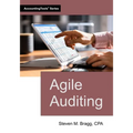 Agile Auditing