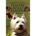 Follow What Leader?: A Logical Look at the Lessons of Leadership