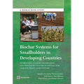 Biochar Systems for Smallholders in Developing Countries: Leveraging Current Knowledge and Exploring Future Potential for Climate-Smart Agriculture